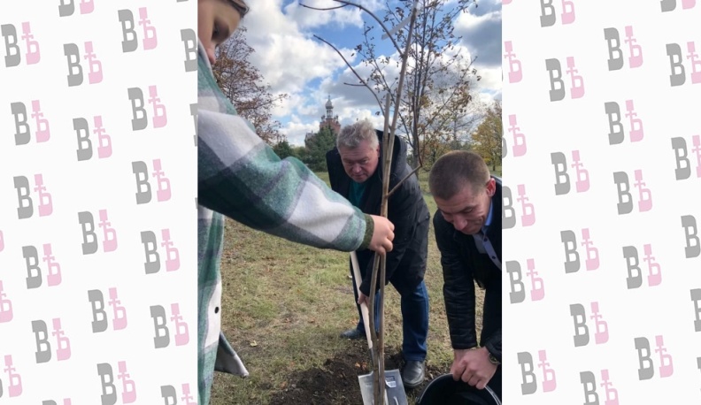 Саженцы дружбы и единения