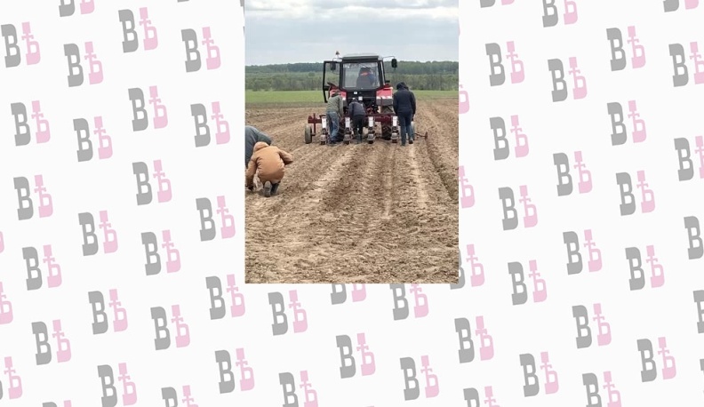 В Медынском районе будут выращивать лекарственные травы в промышленном масштабе