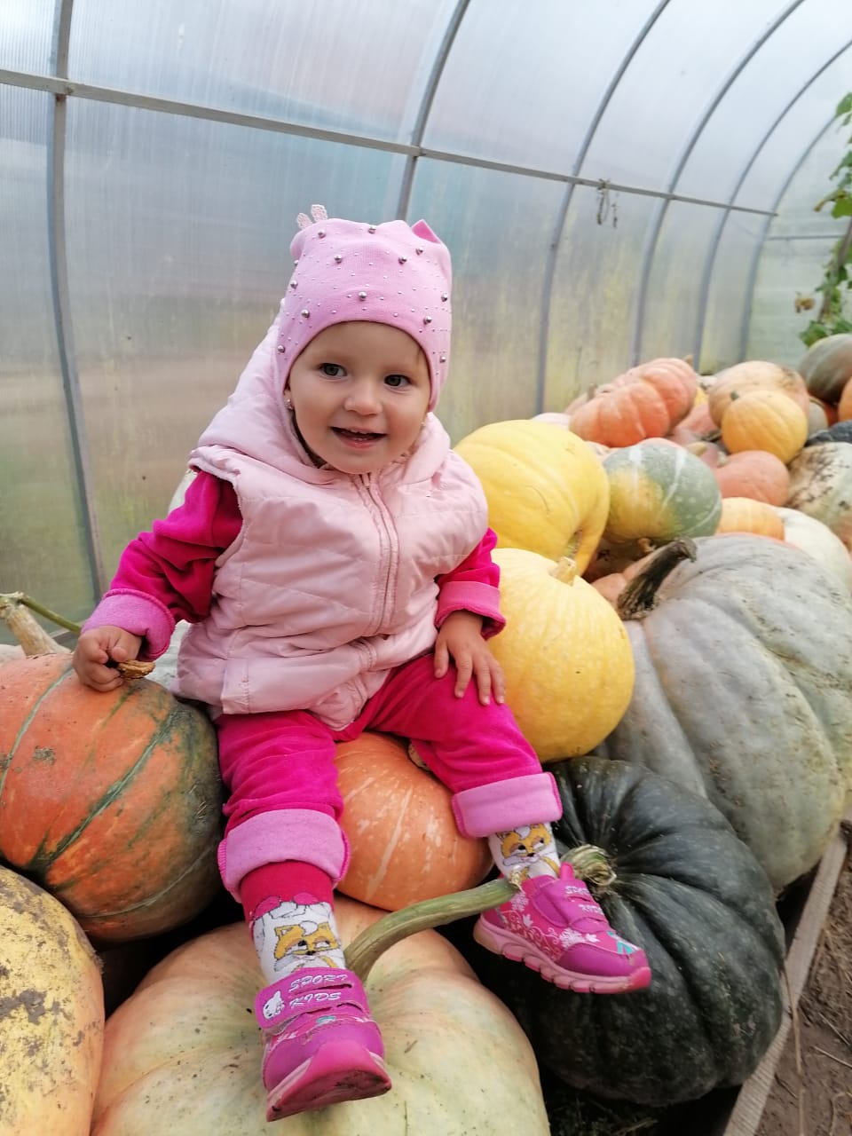 WhatsApp Image 2022-08-16 at 13.25.42.jpeg