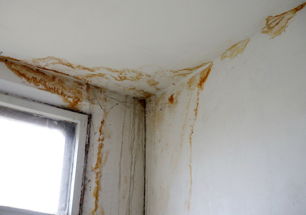 Свежие подтёки.jpg