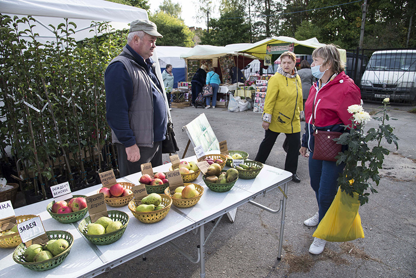 фото Кормильцева_12.JPG