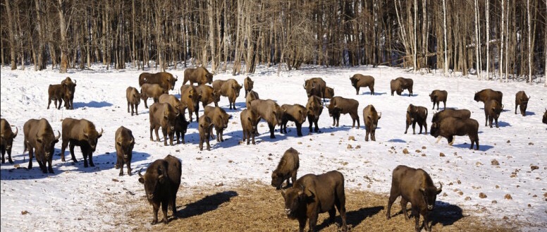 FullSizeRender-12-01-21-03-45-1.jpg FullSizeRender-12-01-21-03-45-1.jpg