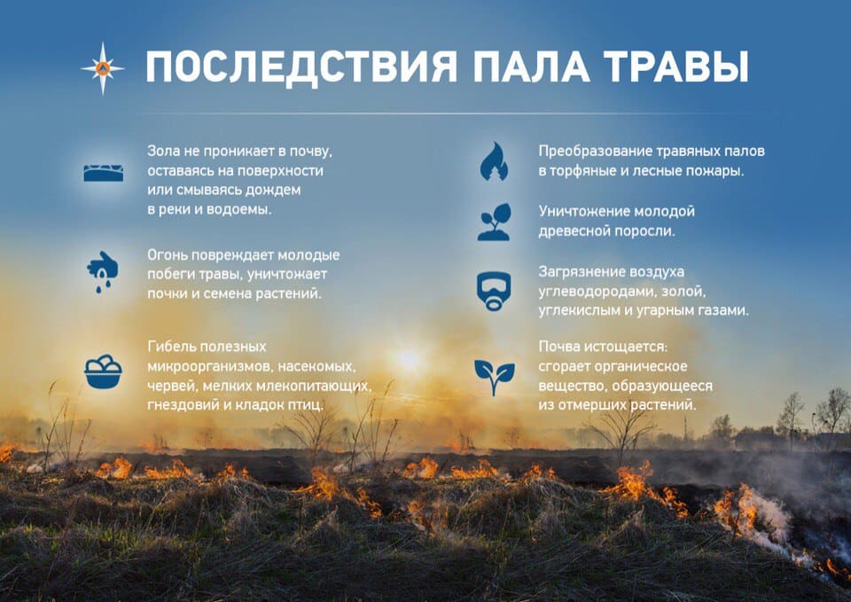 Плакат пал травы.jpg Плакат пал травы.jpg