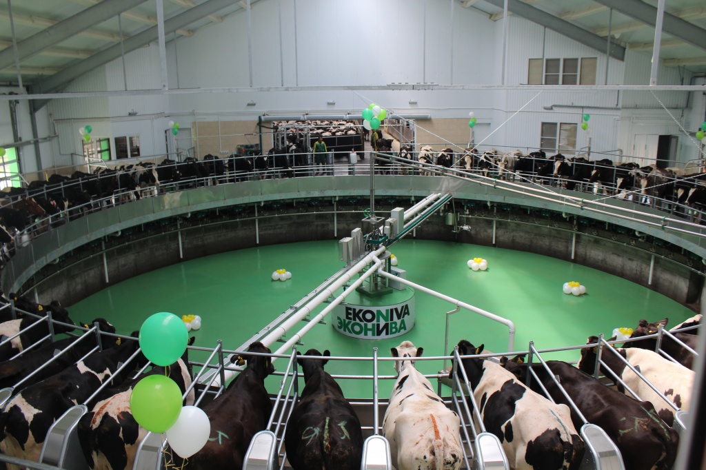 Эконива 2.JPG