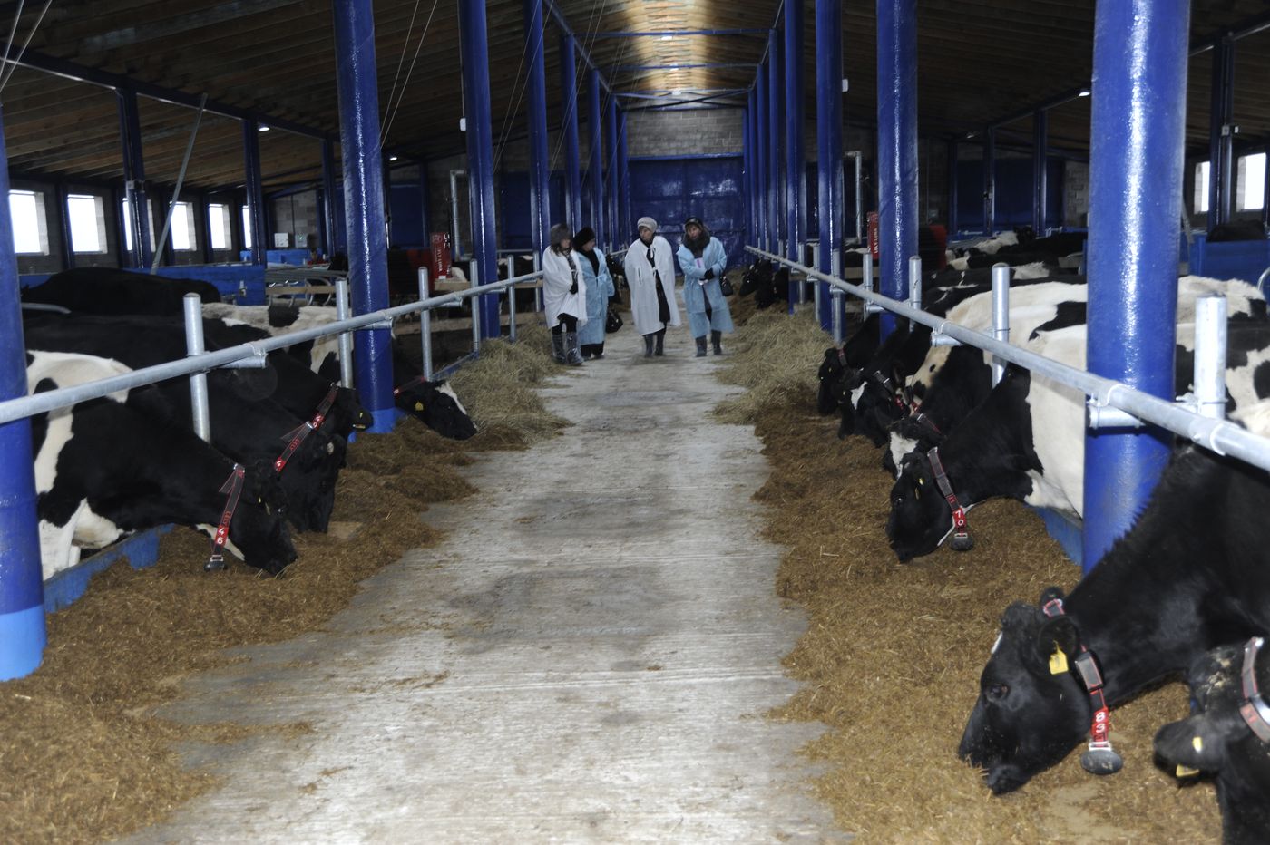 Ферма в СПК Русь.jpg