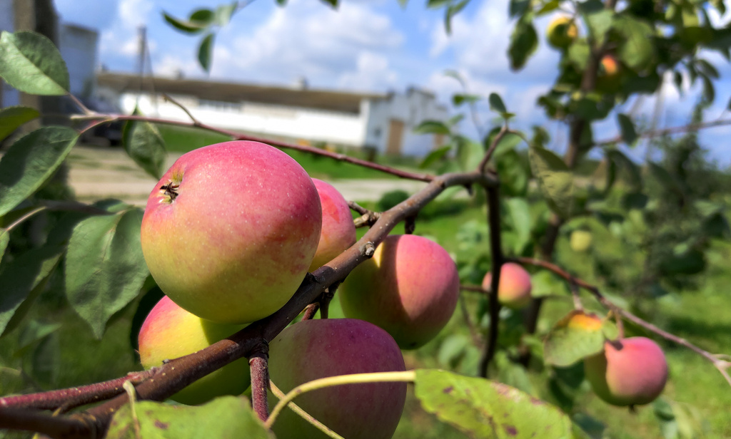 фото Кормильцева _90.jpg