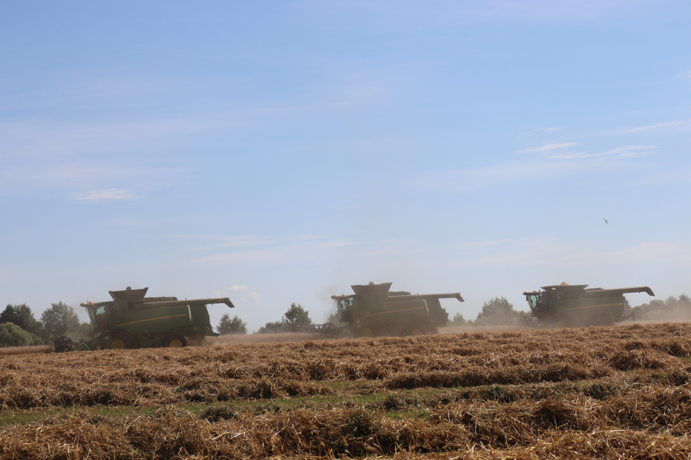 На полях ООО «АгроФирма Мещовская» - горячая страда.JPG