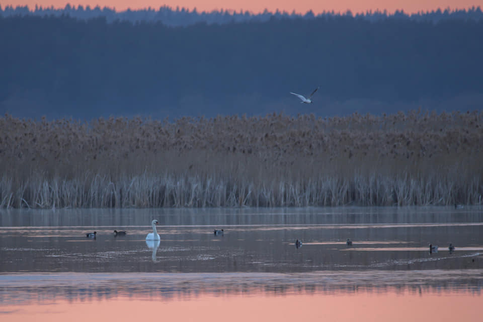 91883181_875697176176653_9056129399077732352_n.jpg 91883181_875697176176653_9056129399077732352_n.jpg