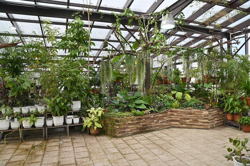 DSC_0071_новый размер_1.jpg