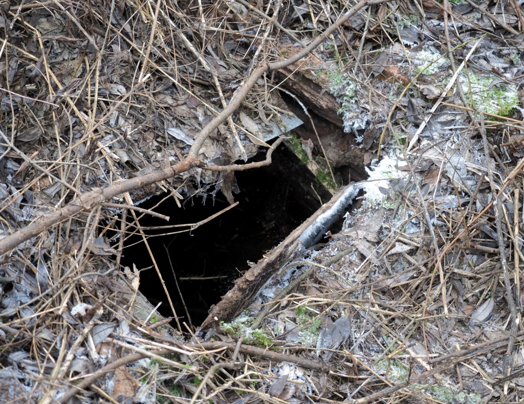 В сельской администрации эту яму в деревне Мешково считают общественным колодцем.JPG
