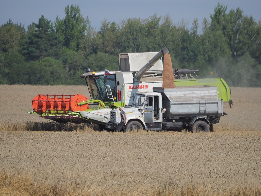 Жатва в ООО Агрофирма Мещовская.jpg
