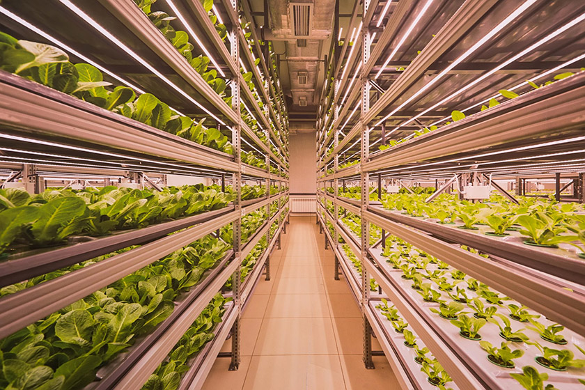 DSC_2402.jpg DSC_2402.jpg