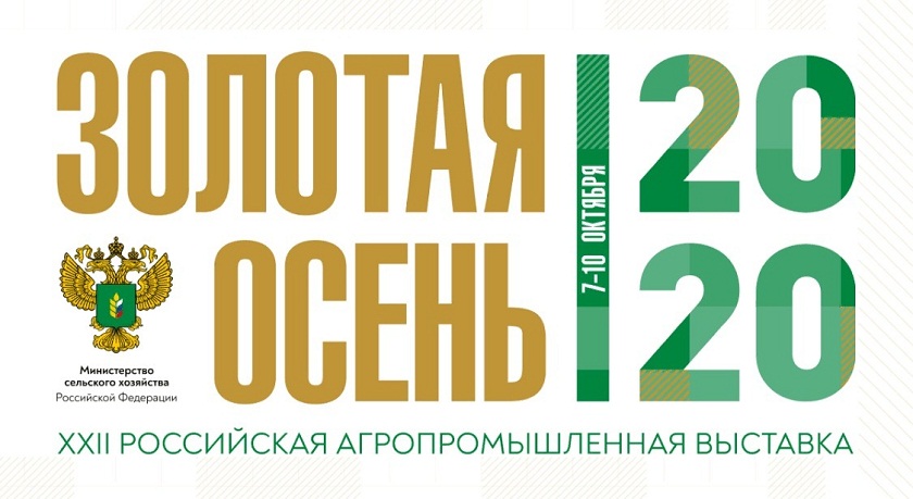 Золотая осень.jpg