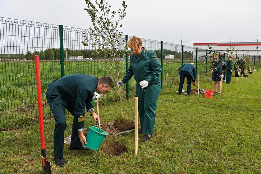 DSC_6645-01_новый размер.jpg