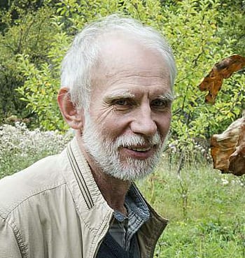 WhatsApp Image 2020-10-24 at 23.02.19.jpeg