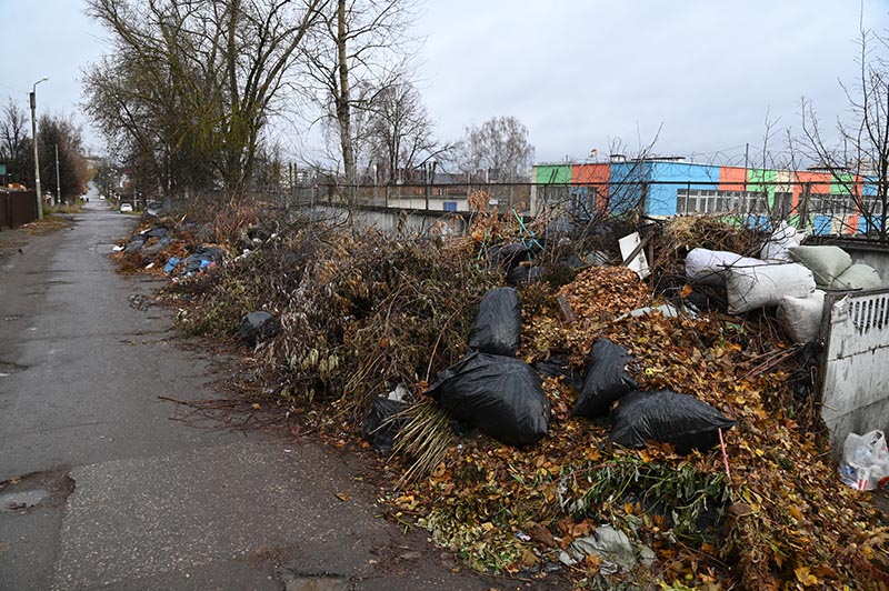 DSC_4845_новый размер.JPG