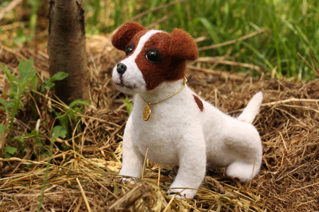 IMG_3979 _resized_20200602_091959628.jpg