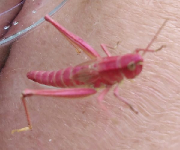 a28f33a0-7688-417e-8d96-11463b0353d4.jpg a28f33a0-7688-417e-8d96-11463b0353d4.jpg