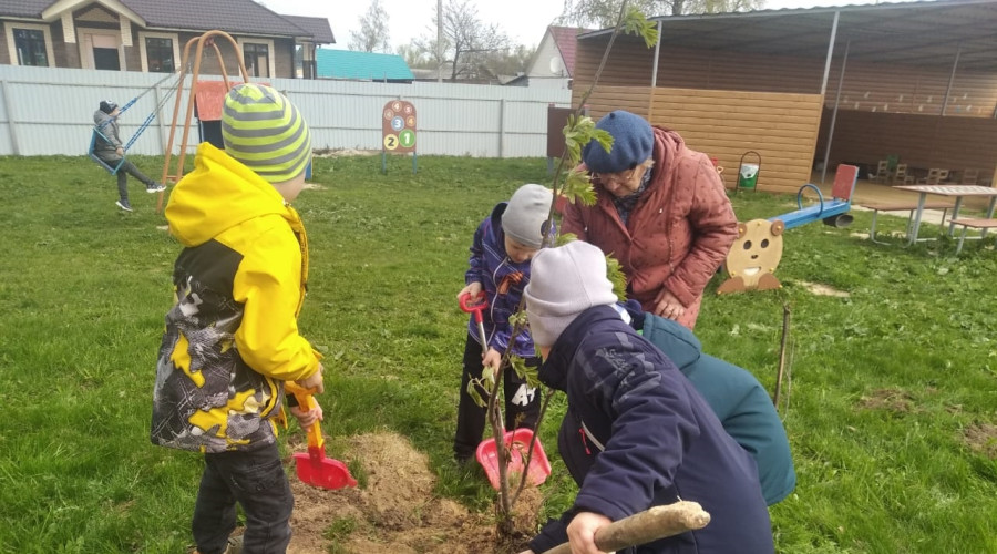 Дети с воспитателем сажают «Аллею памяти».jpg