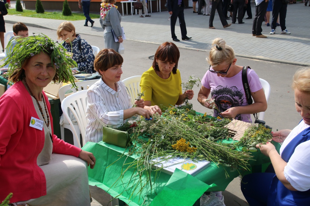 Мастер-класс по плетению из травы.JPG