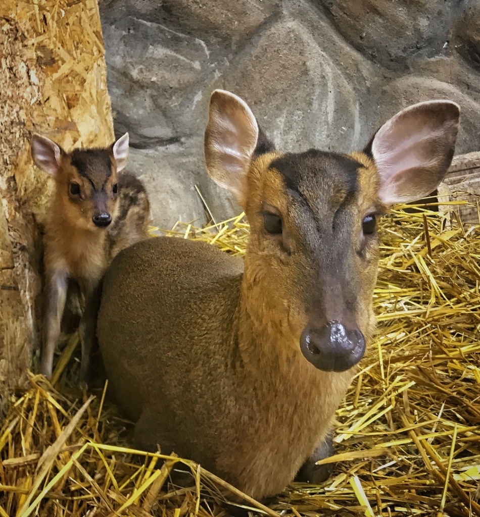 oPo4B5GXfzg.jpg oPo4B5GXfzg.jpg