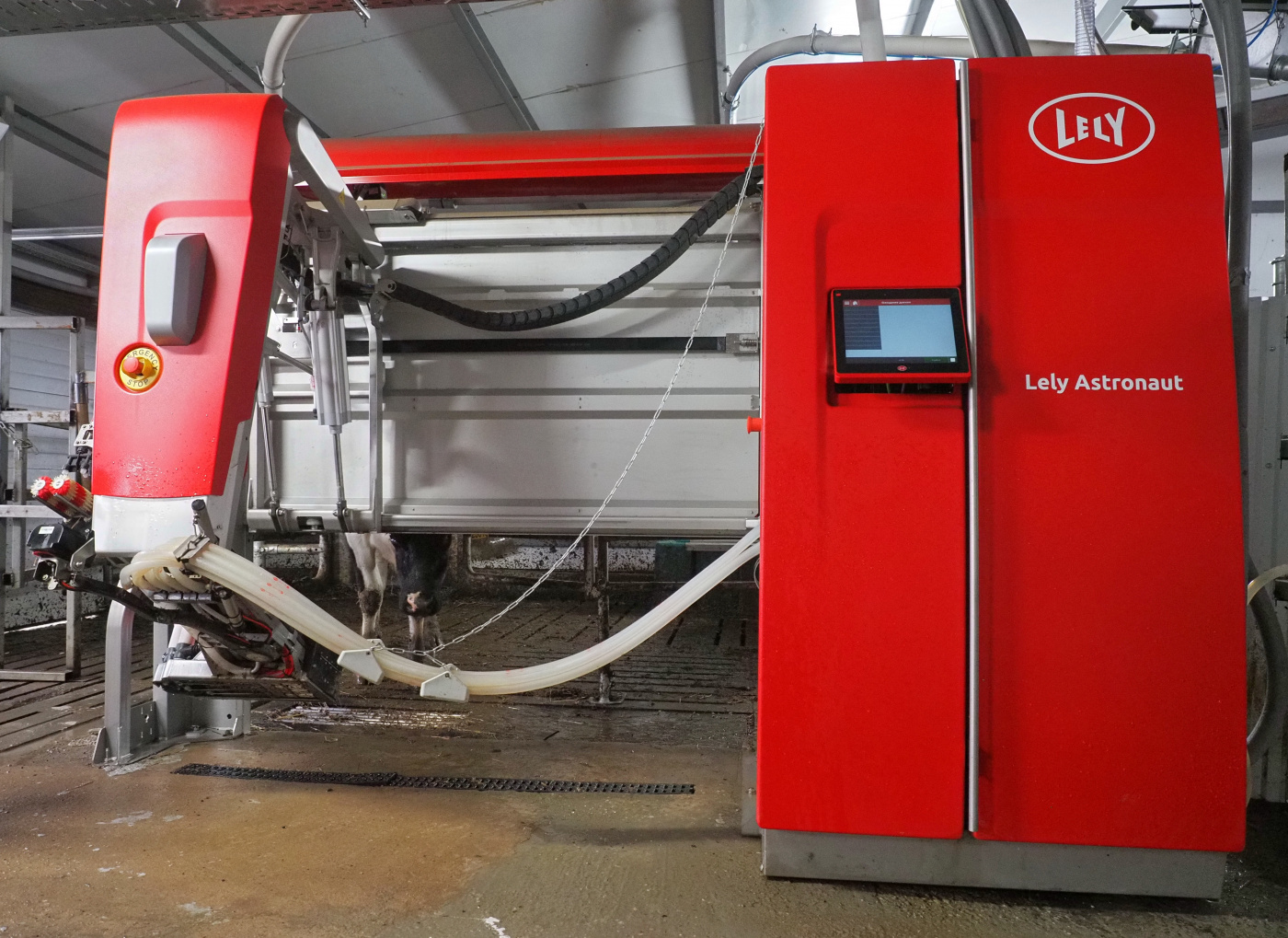 Робот Lely 5-го поколения в КФХ Александра Саяпина.jpg