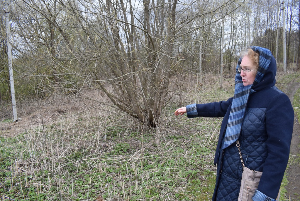 Галина Обыденкина. Дорога у оврага.JPG