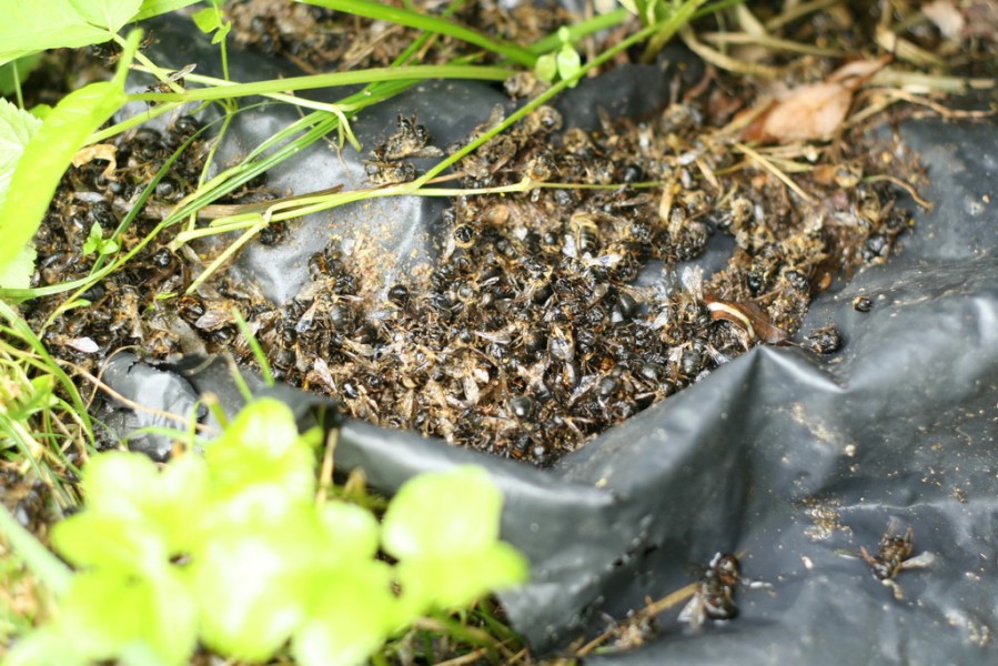 1468335318_04.jpg 1468335318_04.jpg