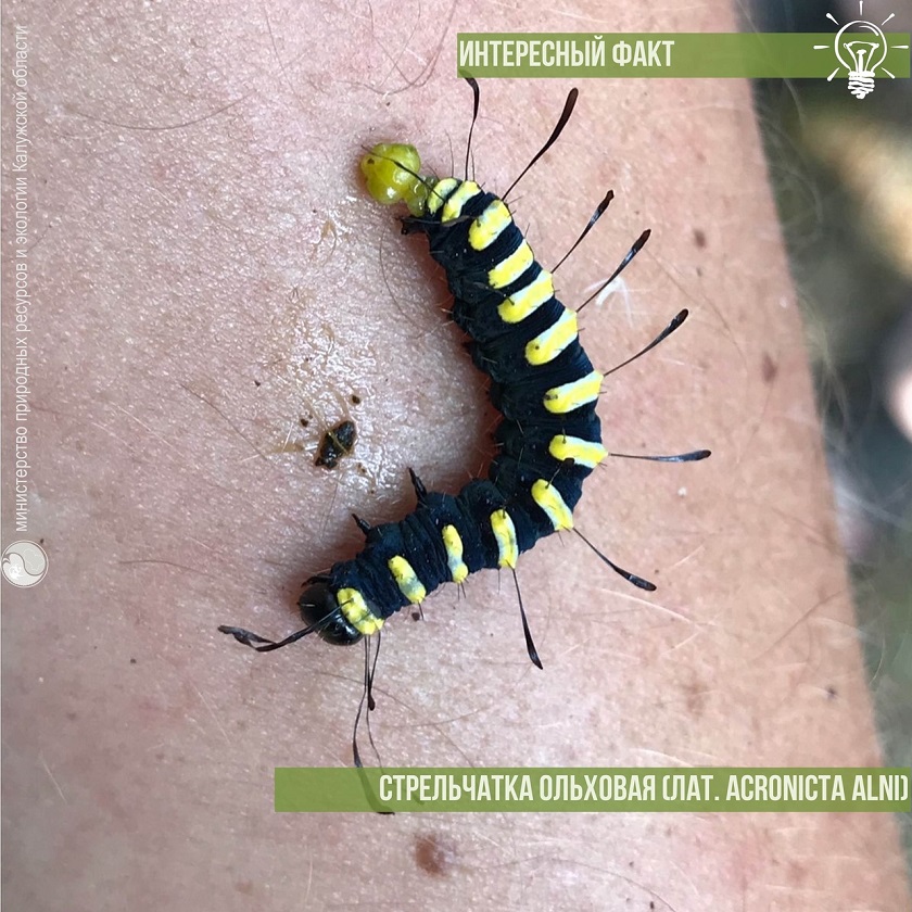 Фото Всеволода Хохлова. C8rqFvwha0Q.jpg