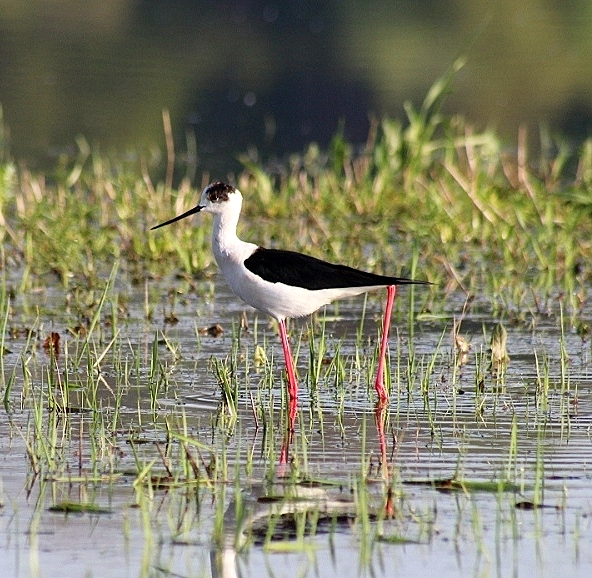 IMG-20210517-WA0017.jpg IMG-20210517-WA0017.jpg