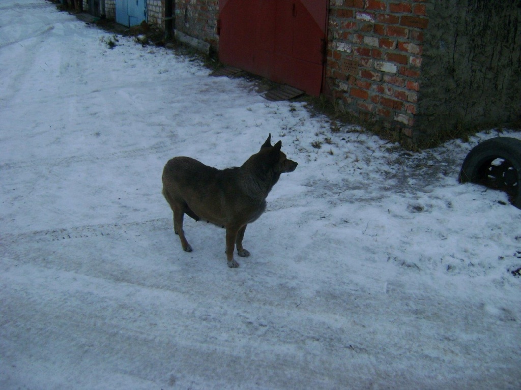 43S16k6-Nwk.jpg 43S16k6-Nwk.jpg