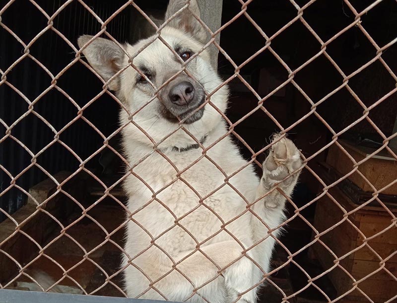 lQTB8-_2hOM.jpg lQTB8-_2hOM.jpg