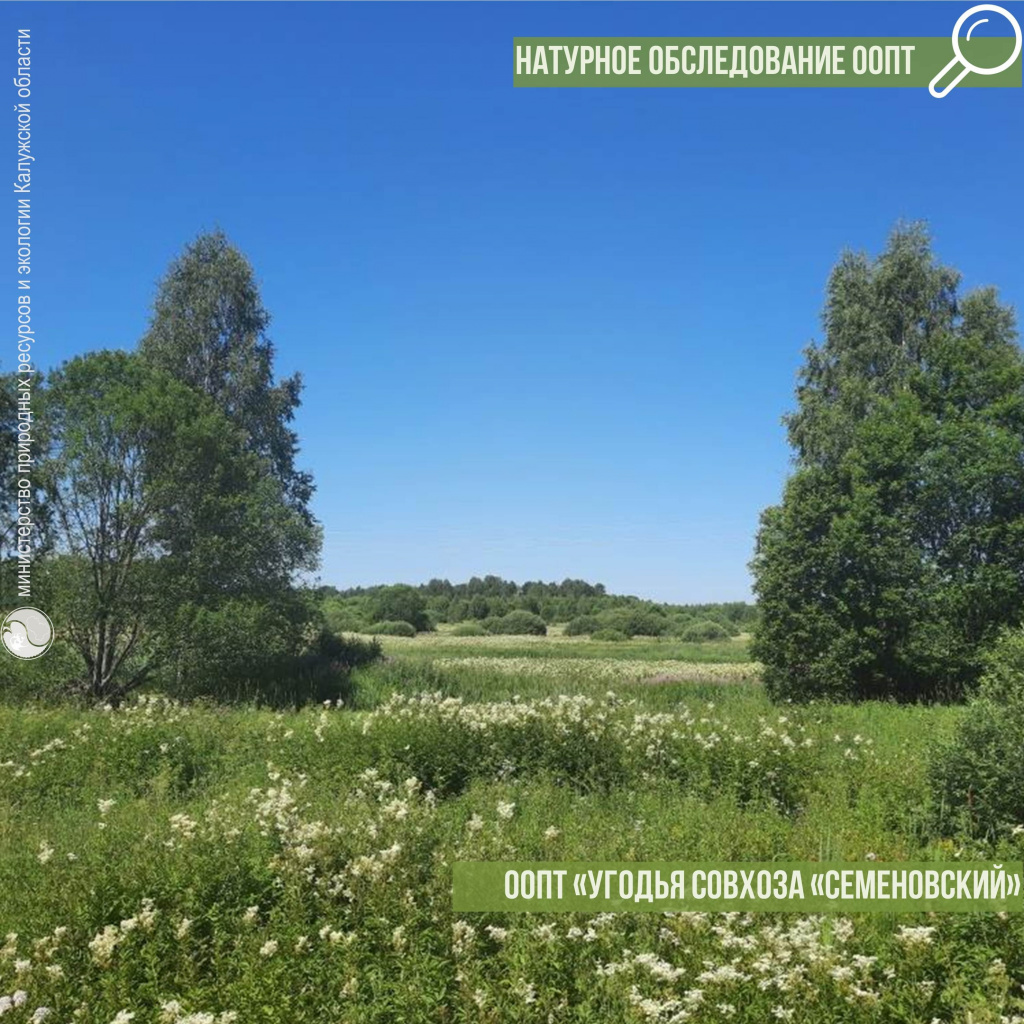 SsluZmJGl3M.jpg SsluZmJGl3M.jpg