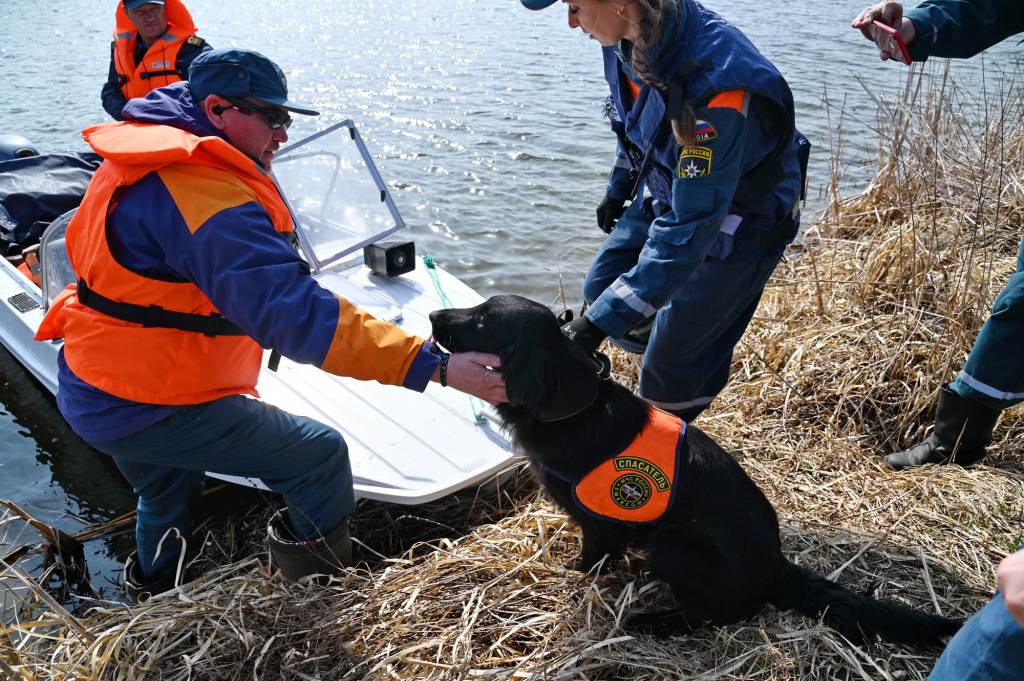 DSC_0781_новый размер.JPG