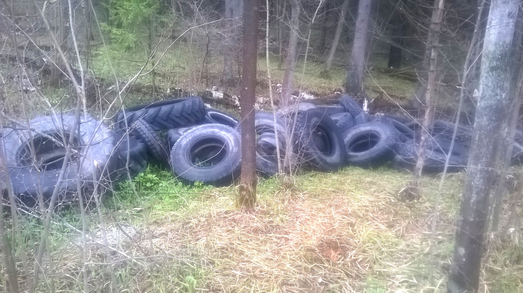 WP_20210501_07_51_57_Pro.jpg WP_20210501_07_51_57_Pro.jpg