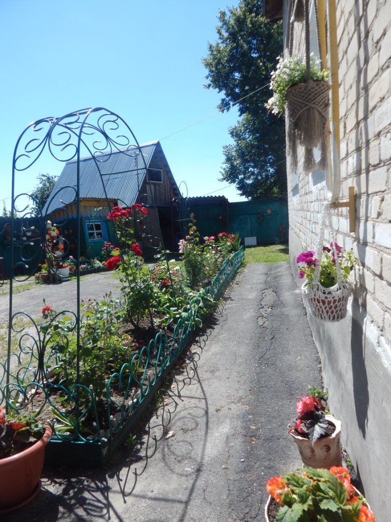 Красота у дома.JPG