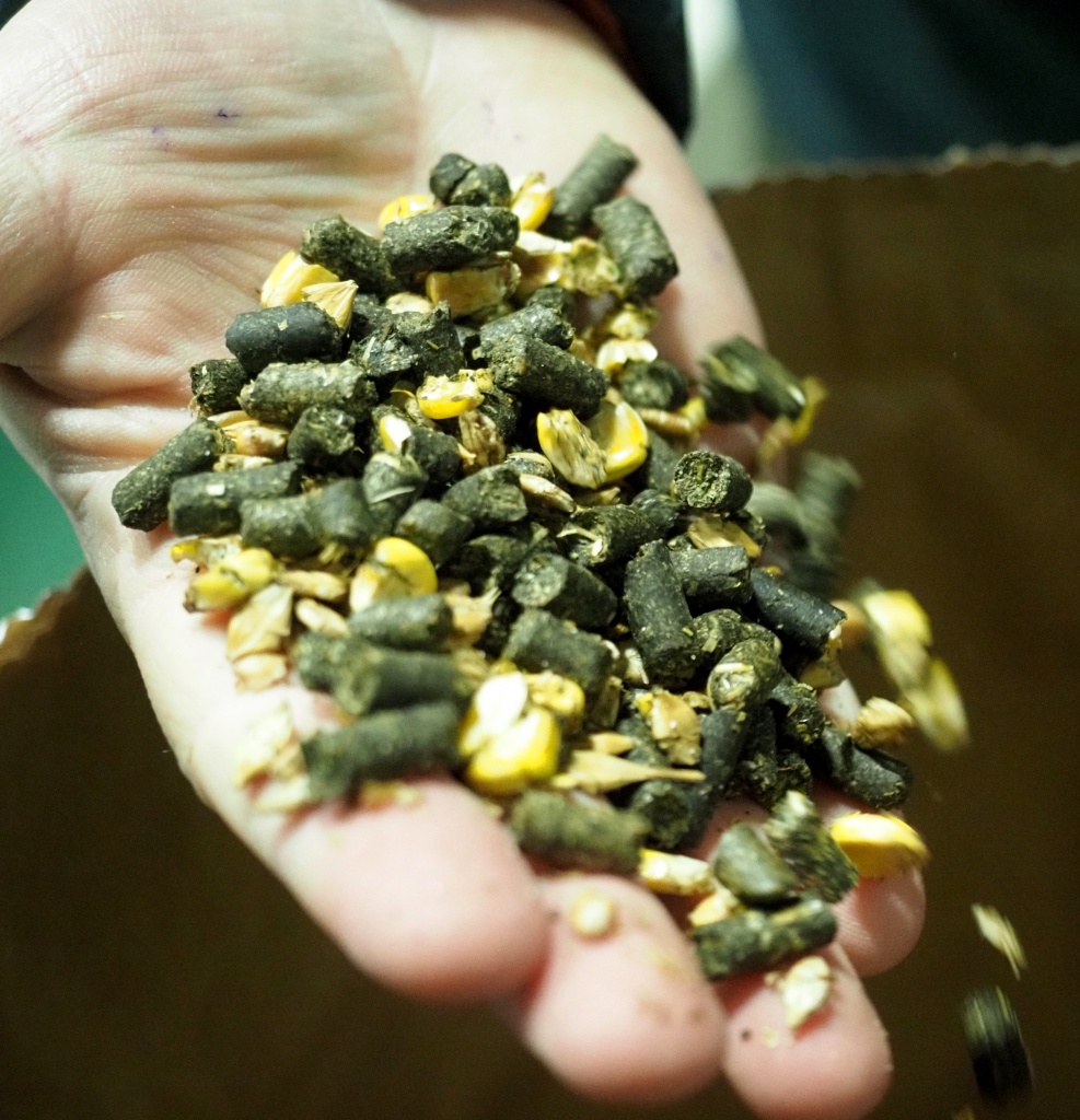 Комбикорм для лошадей.JPG