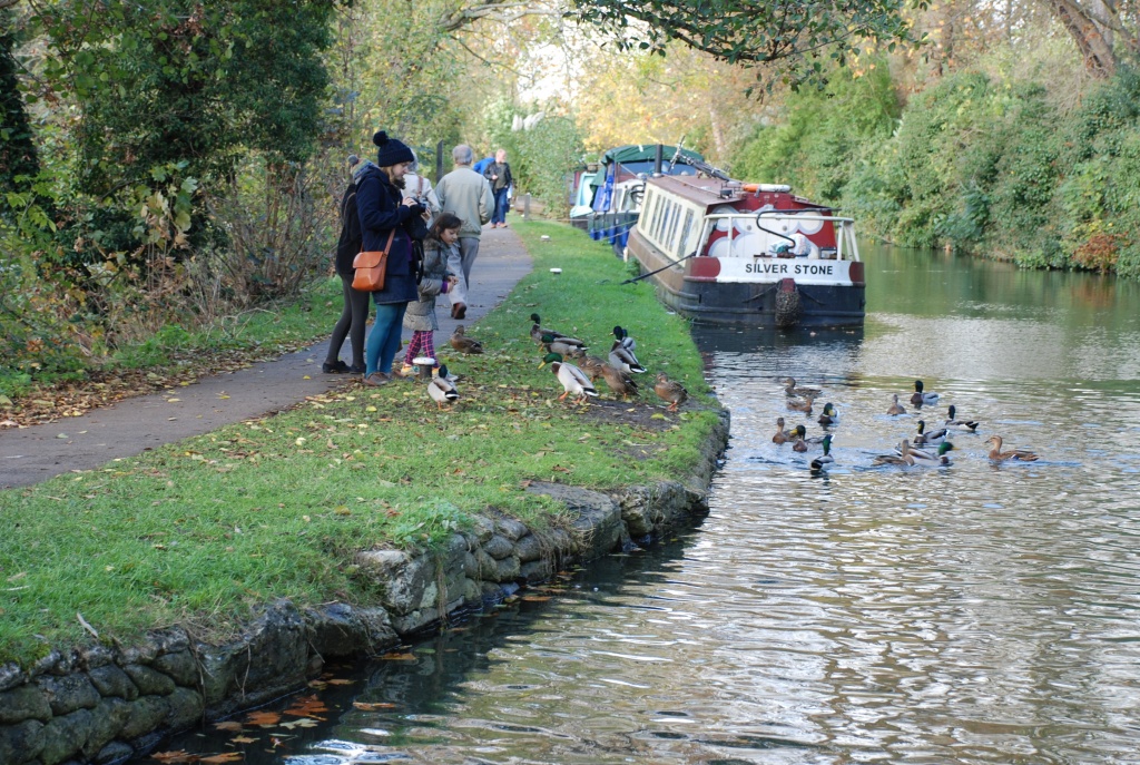 Оксфорд 4.JPG