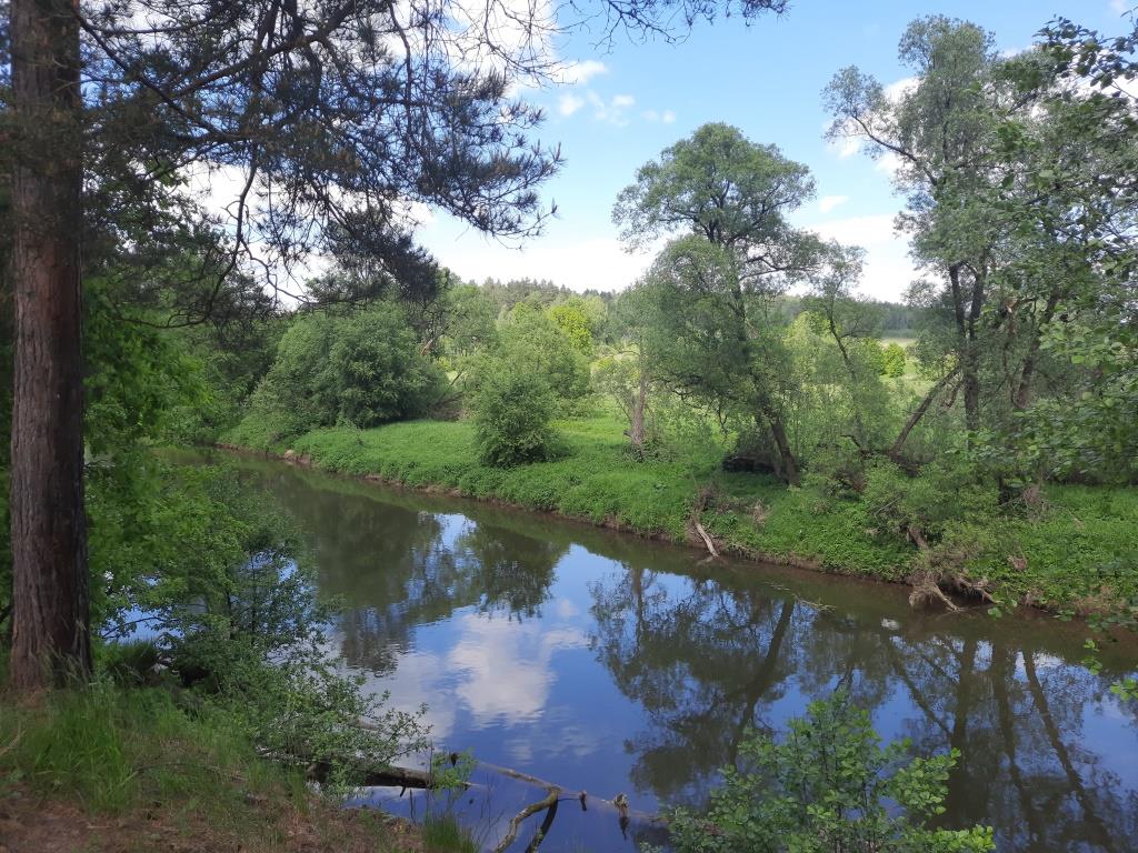 Ильинский омут.jpg Ильинский омут.jpg