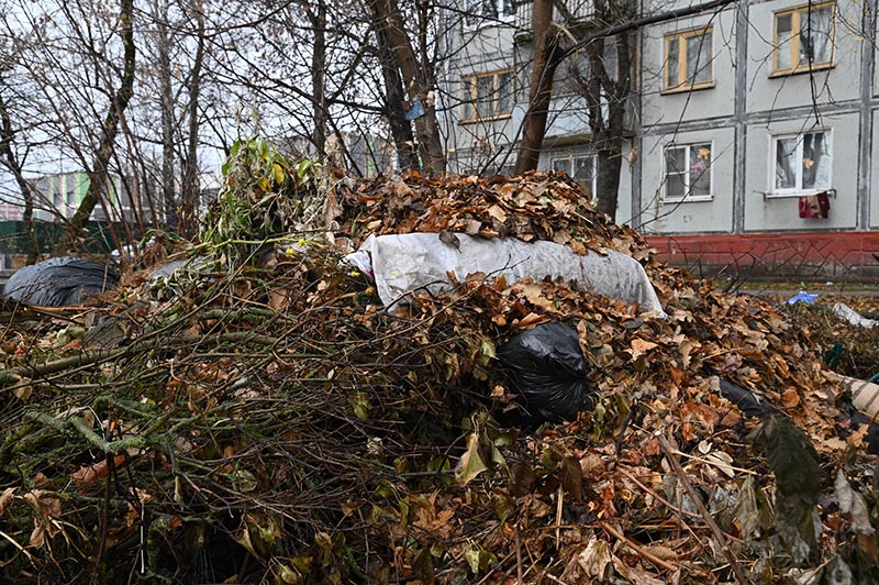 DSC_4740_новый размер.JPG