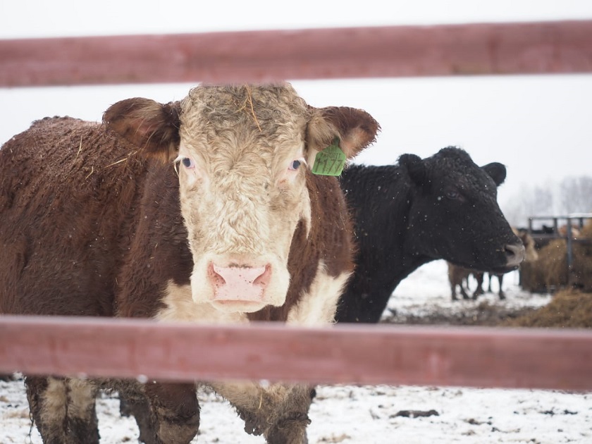 6a571f81-ed09-4c07-9194-90781b924588.jpg 6a571f81-ed09-4c07-9194-90781b924588.jpg