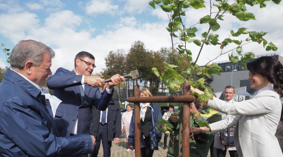 135236_147580.jpg 135236_147580.jpg