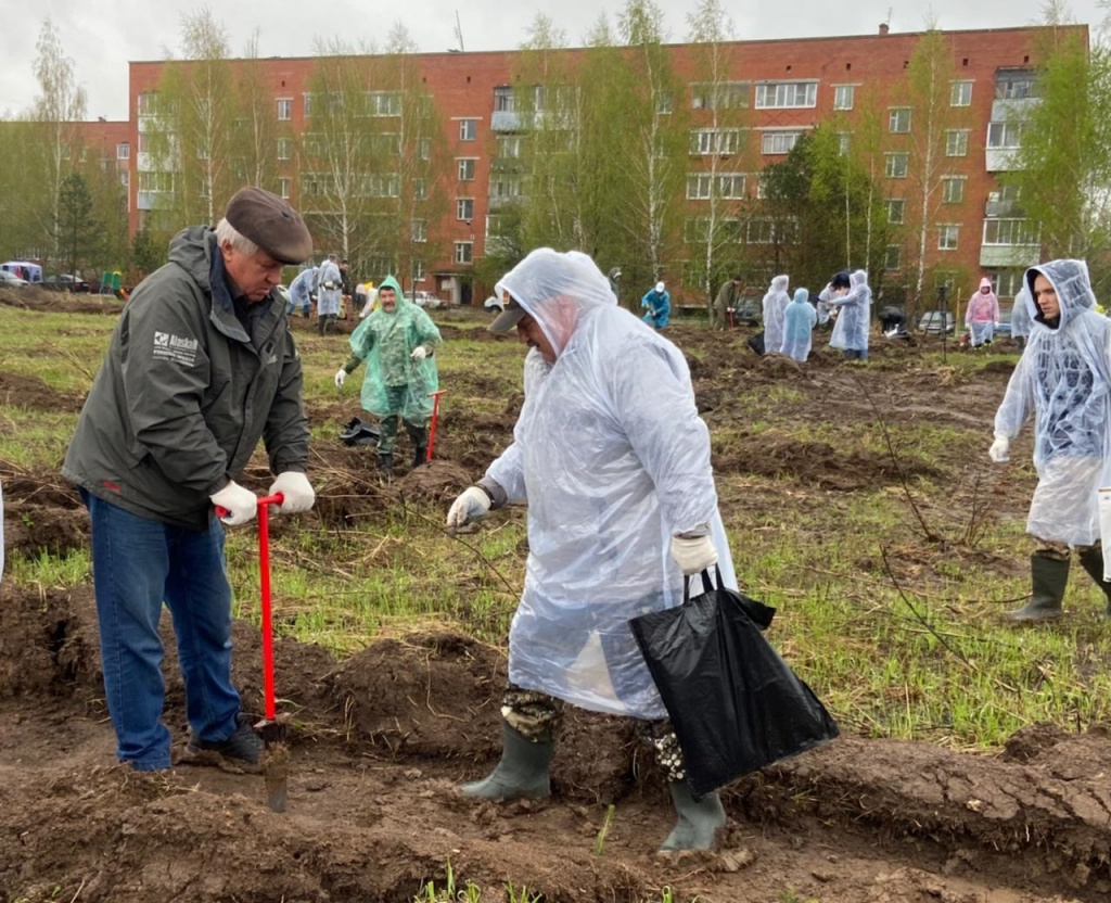 Космический лес 2.jpg Космический лес 2.jpg