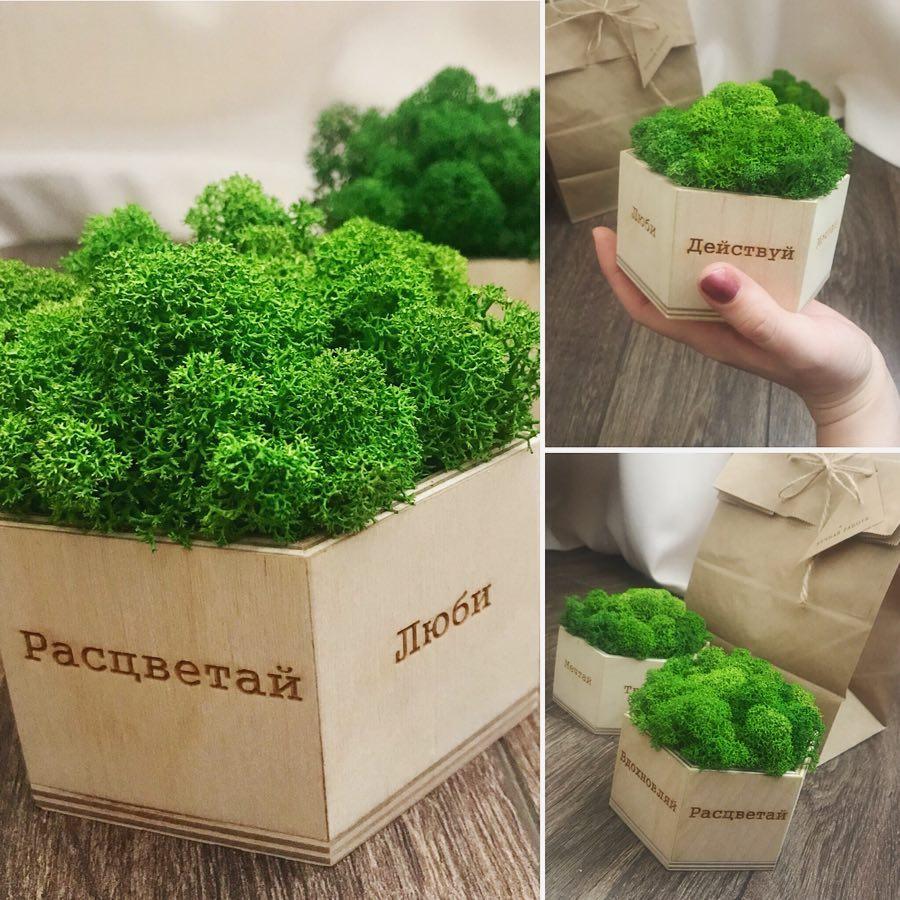 photo_2020-07-13_10-54-32.jpg photo_2020-07-13_10-54-32.jpg