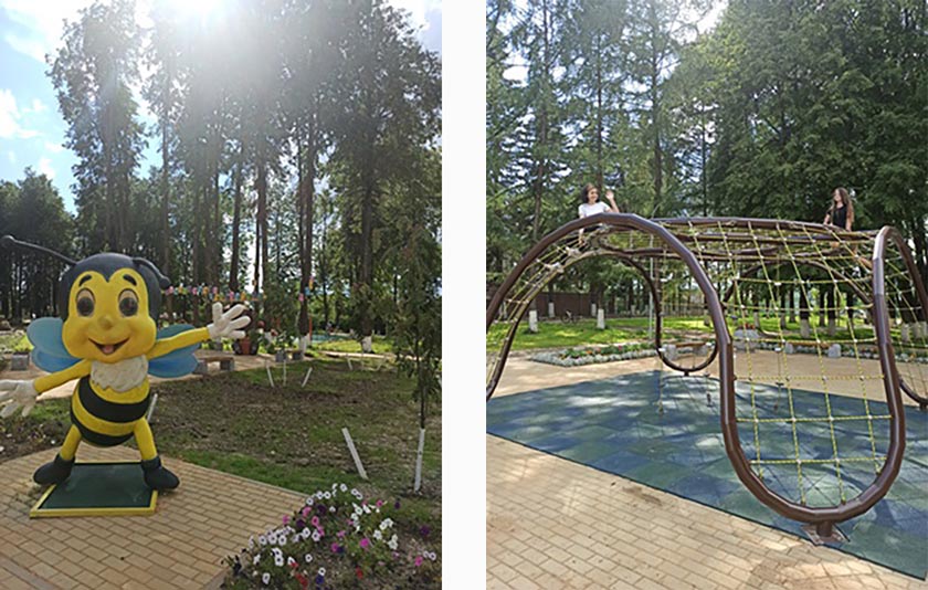 IMG_20200720_155144.jpg IMG_20200720_155144.jpg