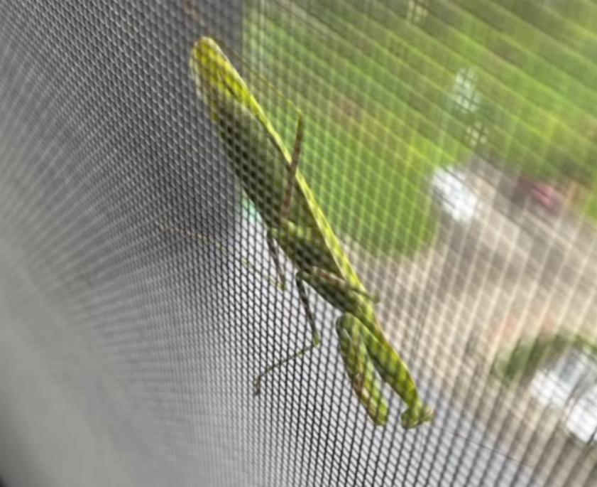 995cab9c98664da27bbb14b72ecc8727.jpg 995cab9c98664da27bbb14b72ecc8727.jpg