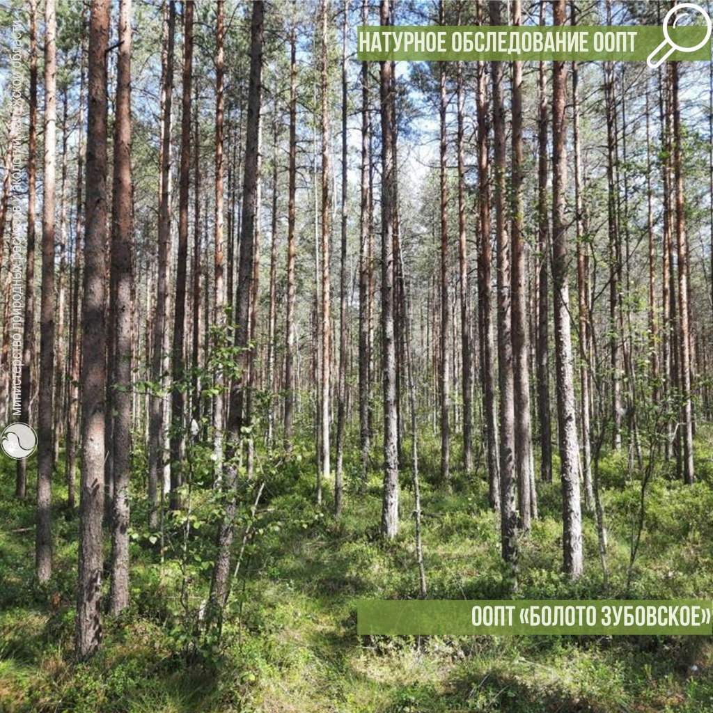 pMuhAIADlZE.jpg pMuhAIADlZE.jpg