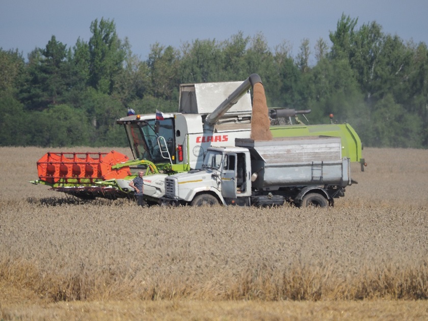 WhatsApp Image 2022-02-08 at 14.31.36.jpeg