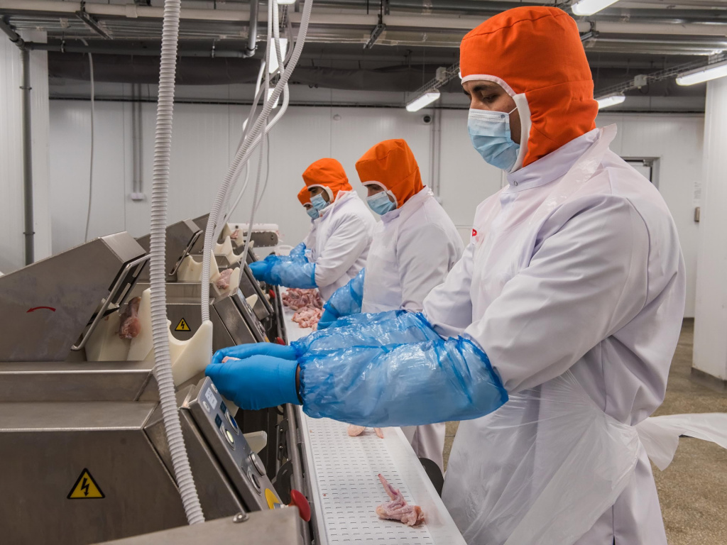 02DSC_0056.jpg 02DSC_0056.jpg