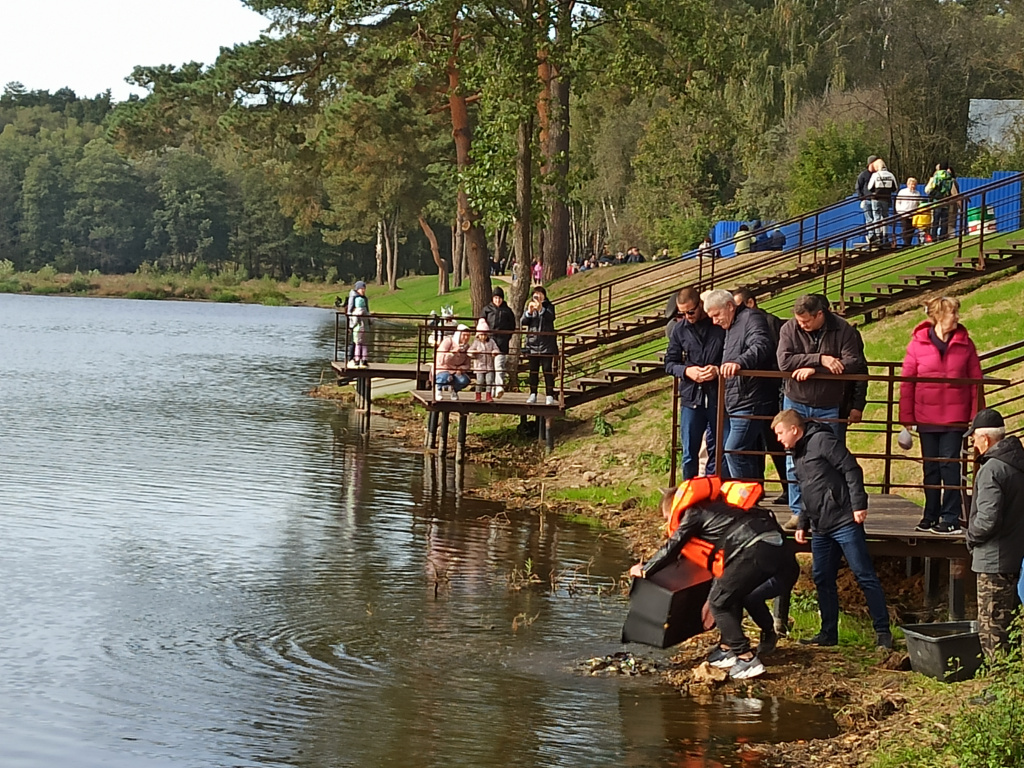 Запуск мальков.jpg